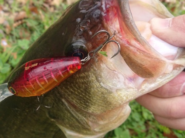 hideup 久次米良信 ブログ写真 2019/03/07