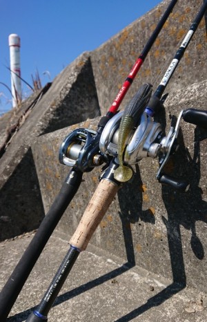 hideup 久次米良信 ブログ写真 2019/03/09