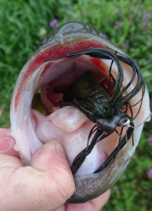 hideup 久次米良信 ブログ写真 2019/03/11