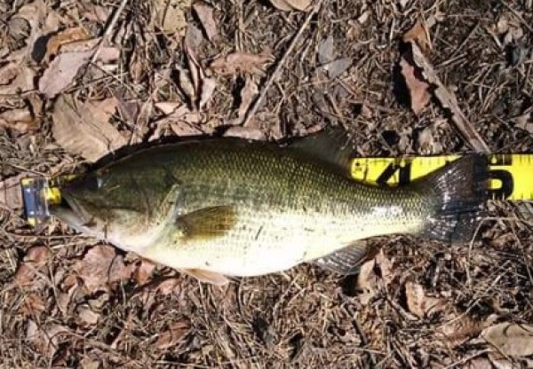 hideup 久次米良信 ブログ写真 2019/03/12