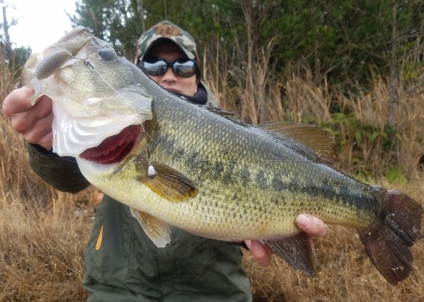 hideup 久次米良信 ブログ写真 2019/03/12