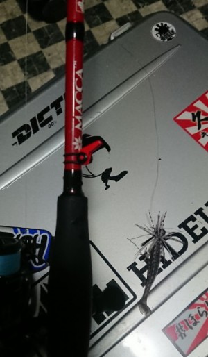 hideup 久次米良信 ブログ写真 2019/03/13