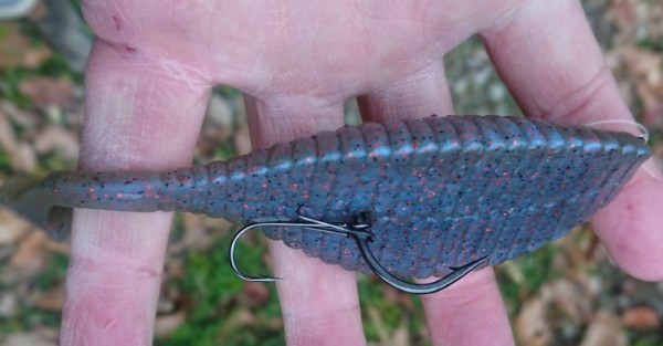 hideup 久次米良信 ブログ写真 2019/03/14