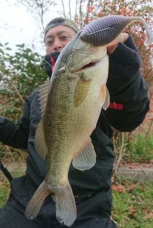 hideup 久次米良信 ブログ写真 2019/03/14