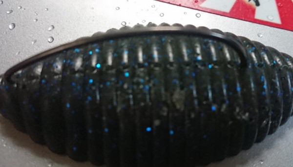 hideup 久次米良信 ブログ写真 2019/03/18