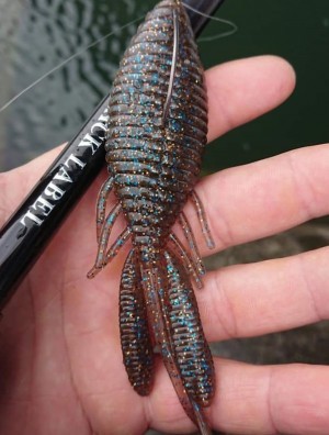 hideup 久次米良信 ブログ写真 2019/03/19