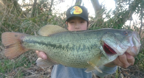 hideup 久次米良信 ブログ写真 2019/03/22