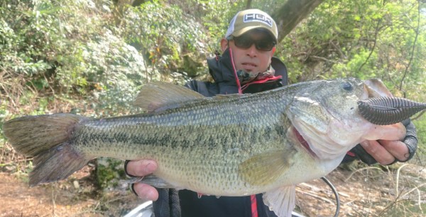 hideup 久次米良信 ブログ写真 2019/04/01