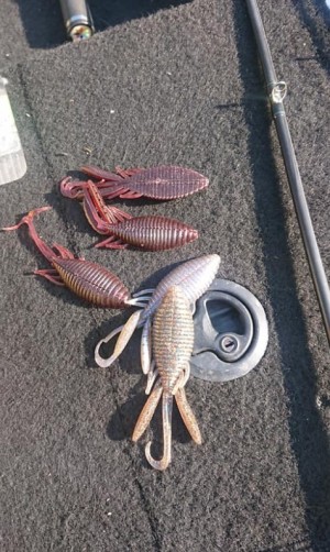 hideup 久次米良信 ブログ写真 2019/04/01