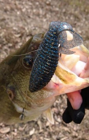 hideup 久次米良信 ブログ写真 2019/04/02