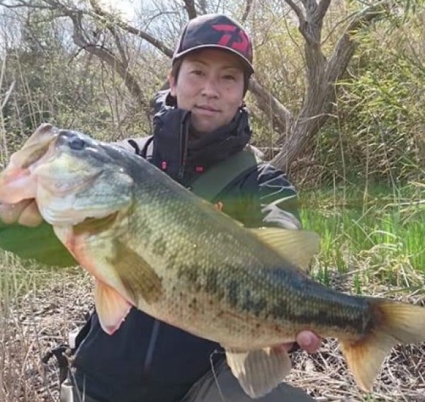 hideup 久次米良信 ブログ写真 2019/04/02