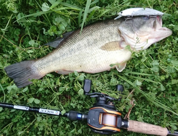 hideup 久次米良信 ブログ写真 2019/04/03