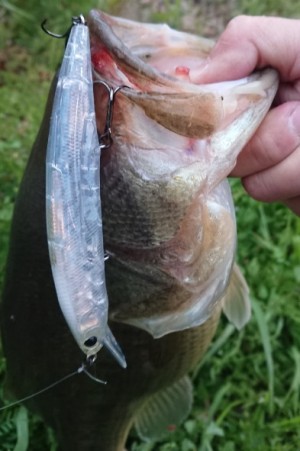 hideup 久次米良信 ブログ写真 2019/04/03