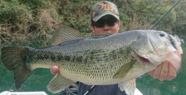 hideup 久次米良信 ブログ写真 2019/04/08