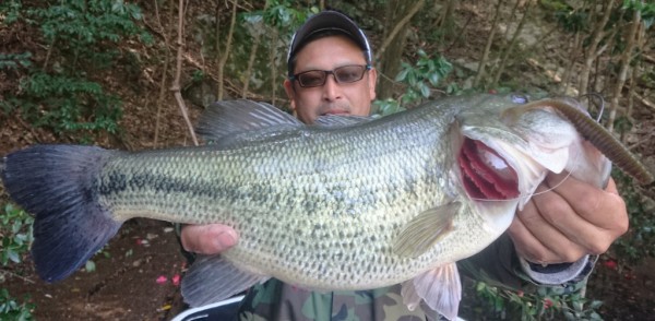 hideup 久次米良信 ブログ写真 2019/04/08