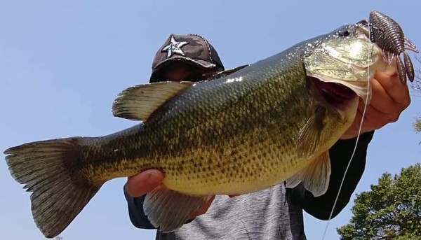 hideup 久次米良信 ブログ写真 2019/04/09