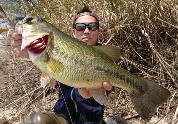 hideup 久次米良信 ブログ写真 2019/04/09