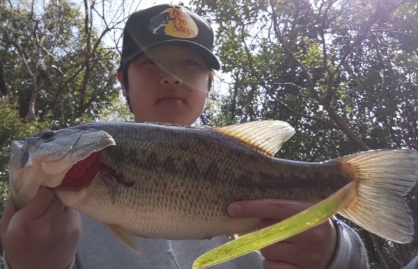 hideup 久次米良信 ブログ写真 2019/04/09