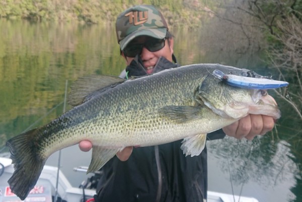 hideup 久次米良信 ブログ写真 2019/04/11