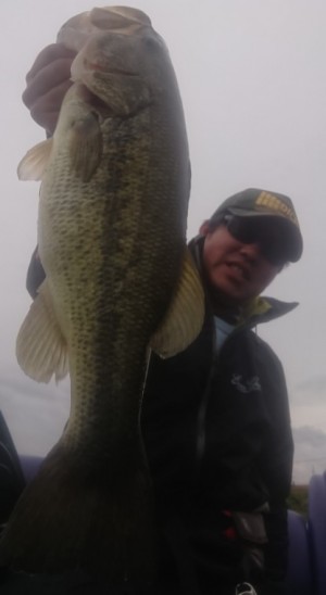 hideup 久次米良信 ブログ写真 2019/04/15