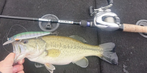 hideup 久次米良信 ブログ写真 2019/04/15