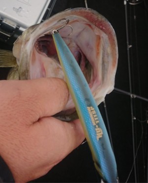 hideup 久次米良信 ブログ写真 2019/04/15