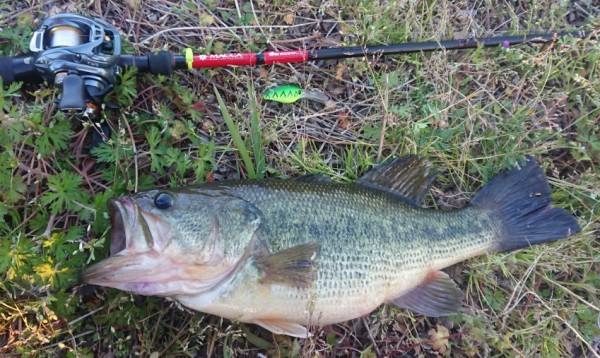 hideup 久次米良信 ブログ写真 2019/04/16