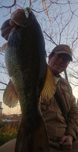 hideup 久次米良信 ブログ写真 2019/04/16