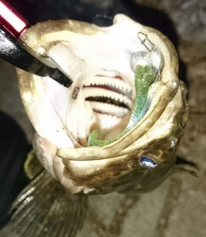 hideup 久次米良信 ブログ写真 2019/04/18