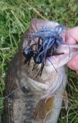 hideup 久次米良信 ブログ写真 2019/04/19