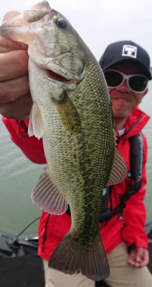 hideup 久次米良信 ブログ写真 2019/05/04