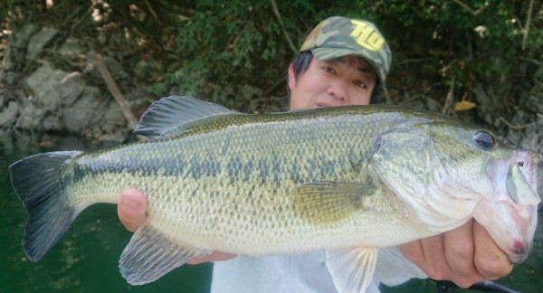 hideup 久次米良信 ブログ写真 2019/05/07