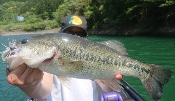 hideup 久次米良信 ブログ写真 2019/05/07