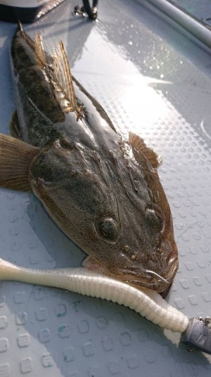 hideup 久次米良信 ブログ写真 2019/05/08