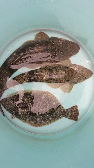 hideup 久次米良信 ブログ写真 2019/05/08