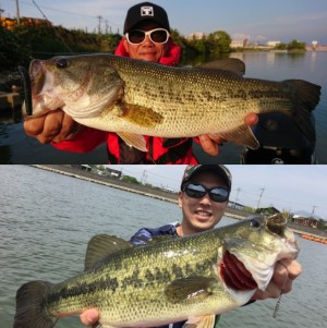 hideup 久次米良信 ブログ写真 2019/05/09