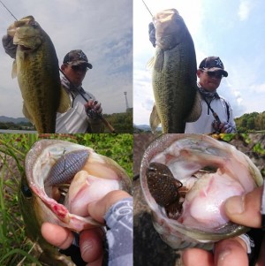 hideup 久次米良信 ブログ写真 2019/05/09