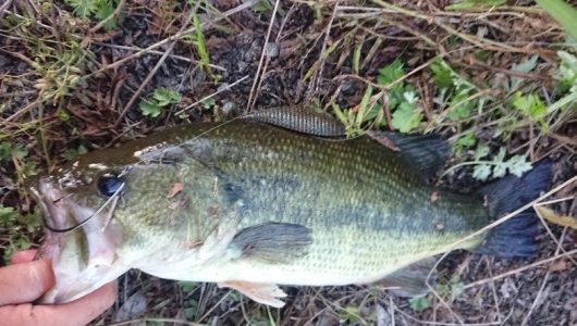 hideup 久次米良信 ブログ写真 2019/05/11