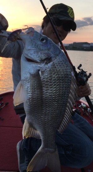 hideup 久次米良信 ブログ写真 2019/05/13