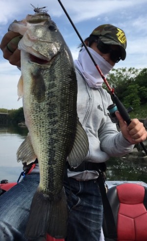 hideup 久次米良信 ブログ写真 2019/05/13