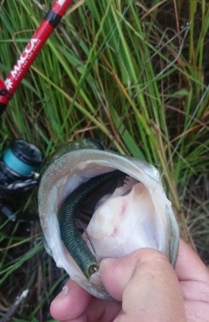 hideup 久次米良信 ブログ写真 2019/05/16