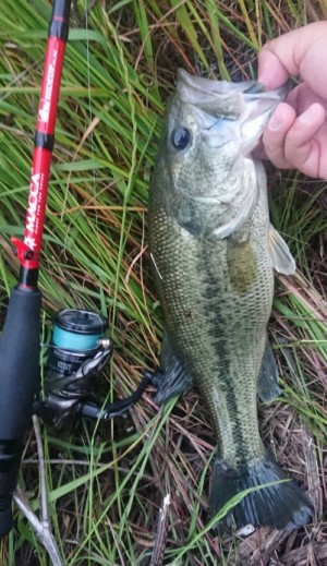 hideup 久次米良信 ブログ写真 2019/05/16