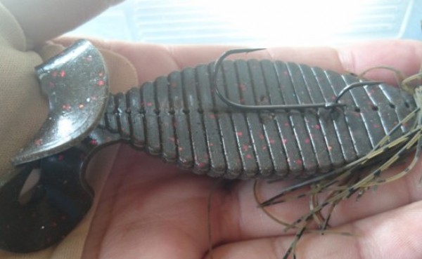 hideup 久次米良信 ブログ写真 2019/05/18