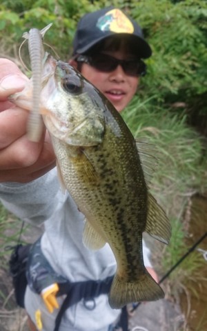 hideup 久次米良信 ブログ写真 2019/05/20