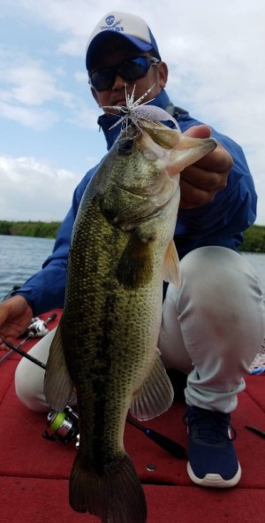 hideup 久次米良信 ブログ写真 2019/05/22