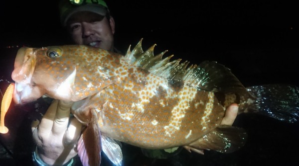 hideup 久次米良信 ブログ写真 2019/05/23