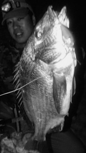 hideup 久次米良信 ブログ写真 2019/05/24