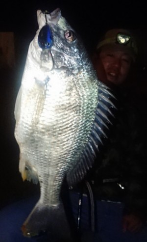 hideup 久次米良信 ブログ写真 2019/05/24