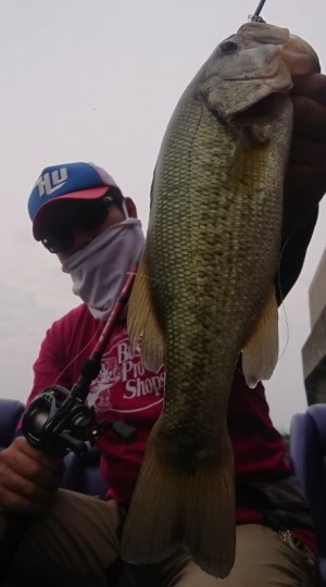 hideup 久次米良信 ブログ写真 2019/06/03