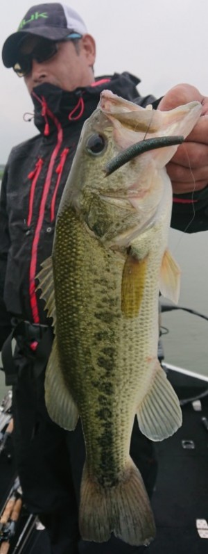 hideup 久次米良信 ブログ写真 2019/06/03